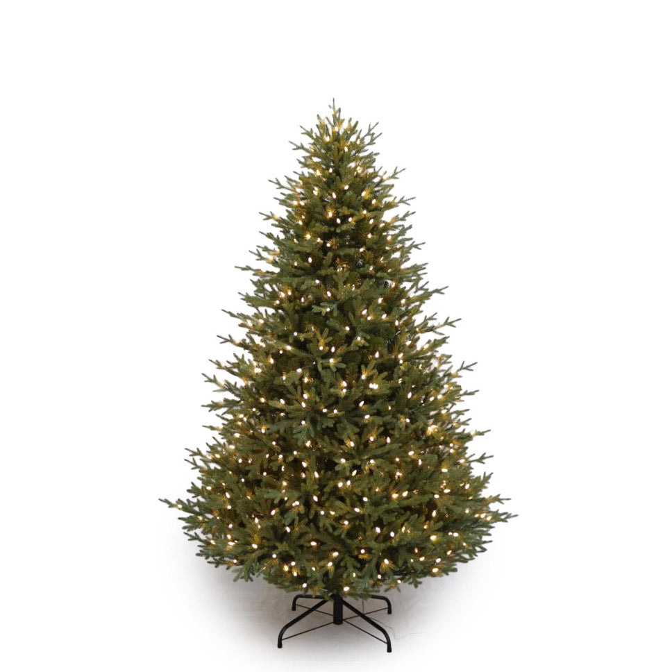 Christmas Trees