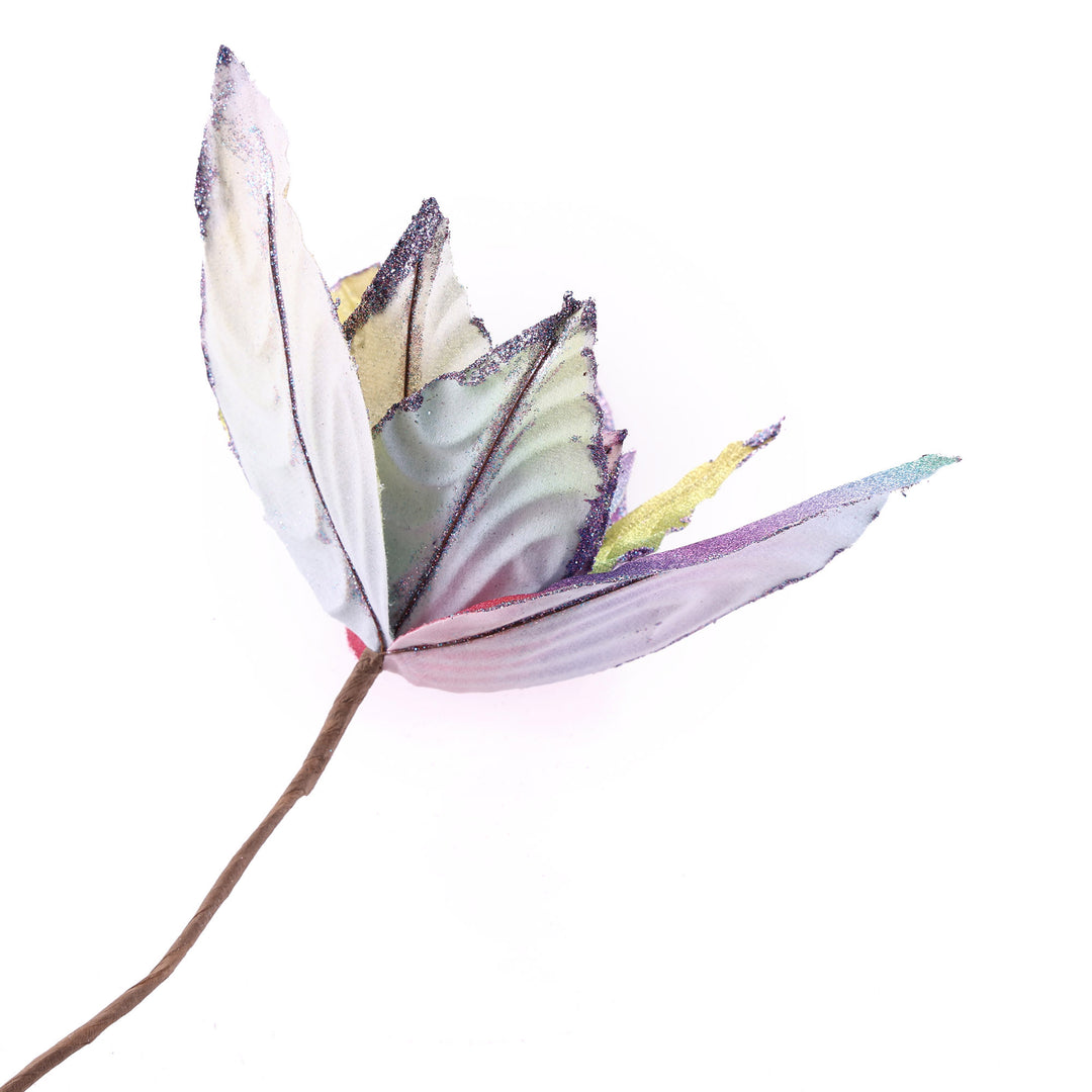 Rainbow Poinsettia Flower Stem