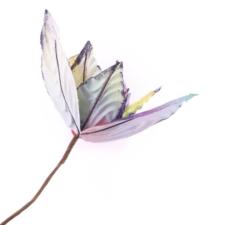 Rainbow Poinsettia Flower Stem