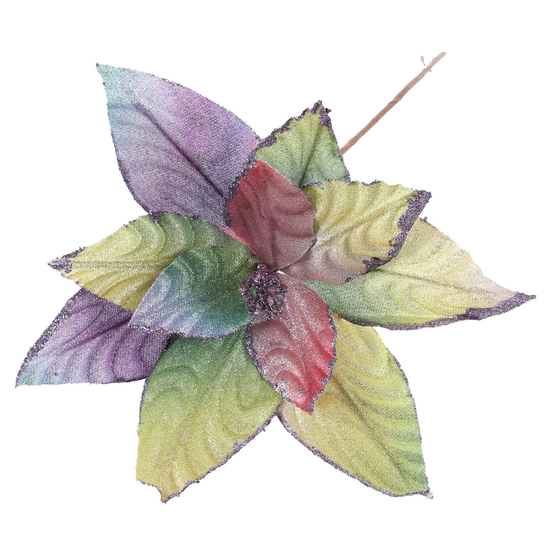 Rainbow Poinsettia Flower Stem