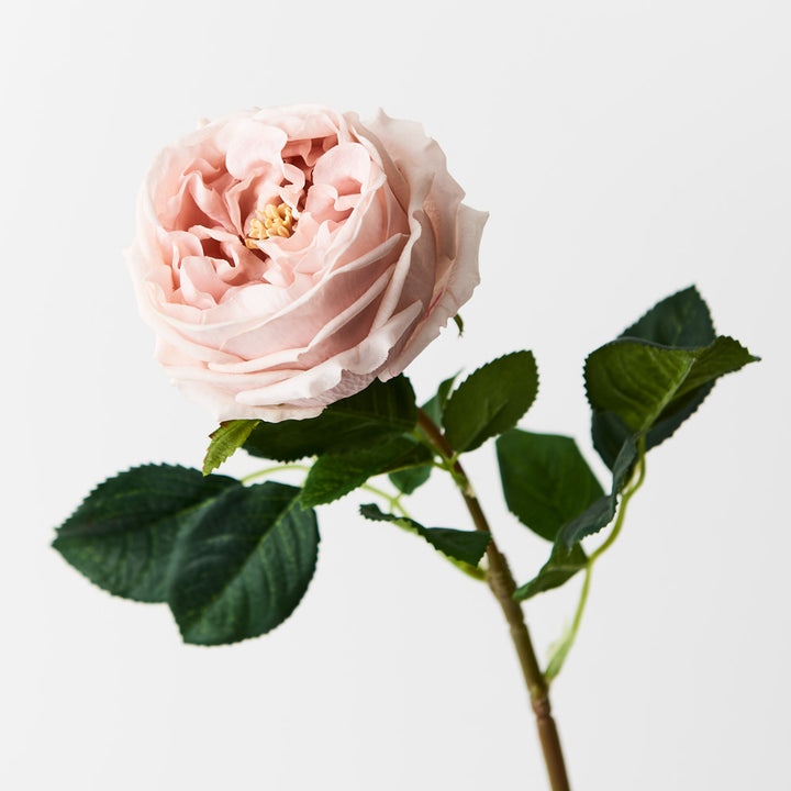 real-touch-austin-rose-soft-pink