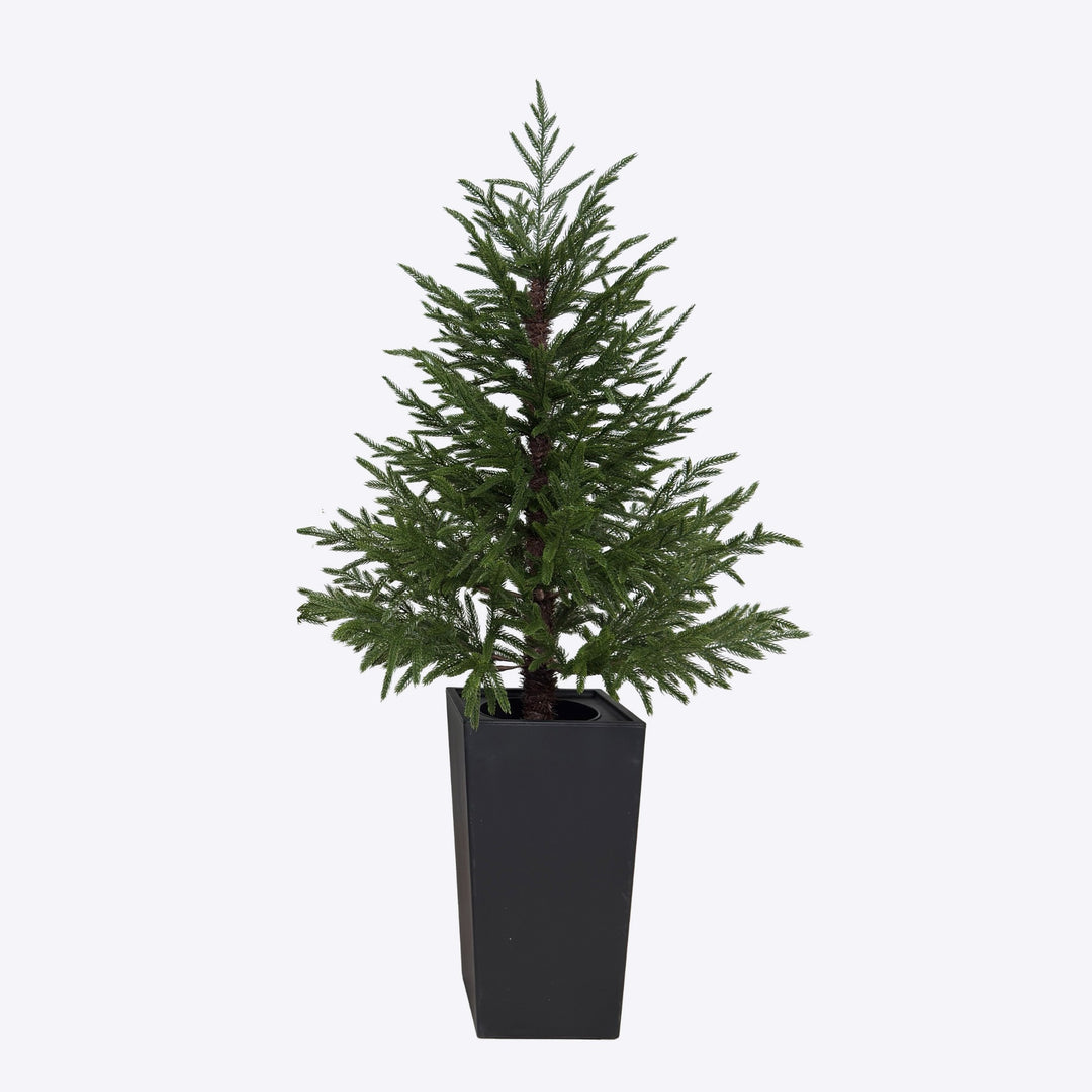 Real Touch Green Norfolk Tree in Black Pot - 118cm
