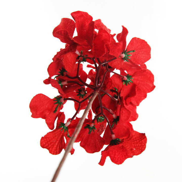 Red Hydrangea Flower Stem