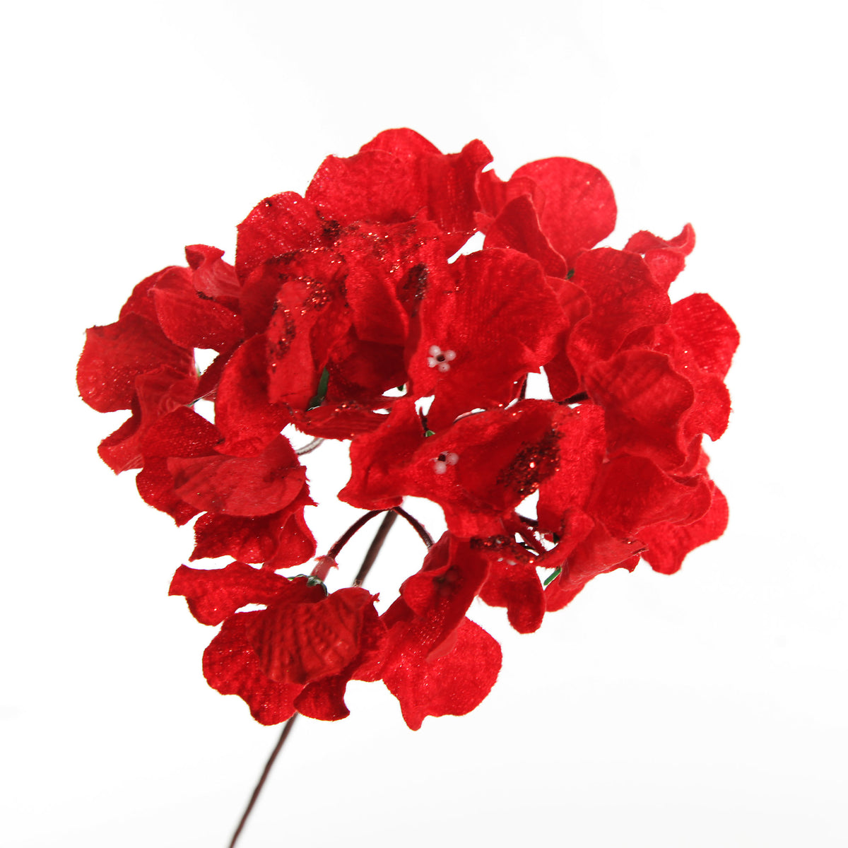 Red Hydrangea Flower Stem