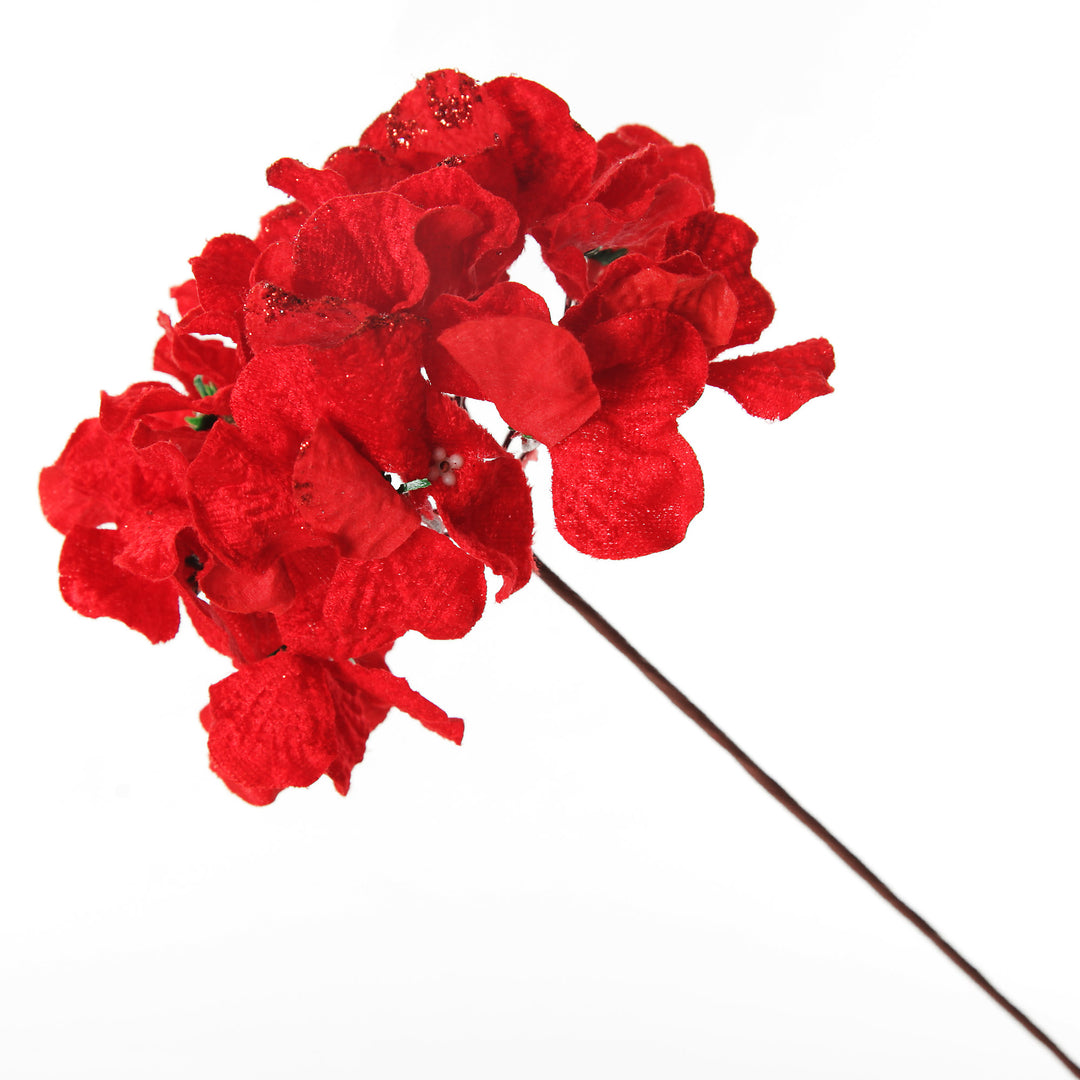 Red Hydrangea Flower Stem