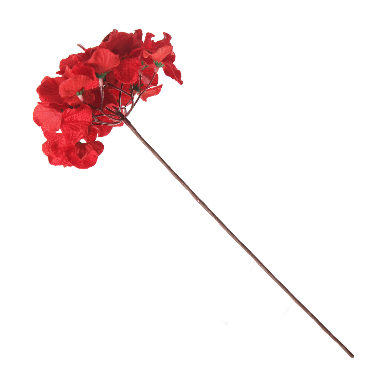 Red Hydrangea Flower Stem