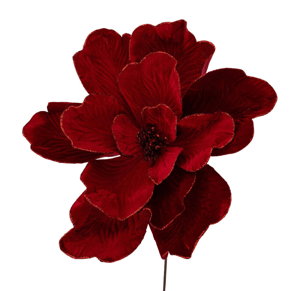 Red Magnolia Flower with Glitter Edge