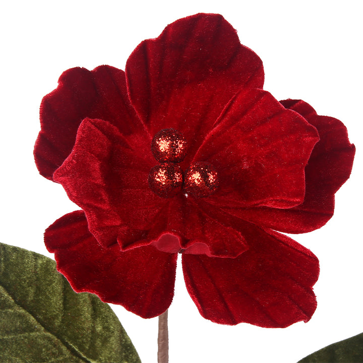 Red Magnolia Flowers Stem