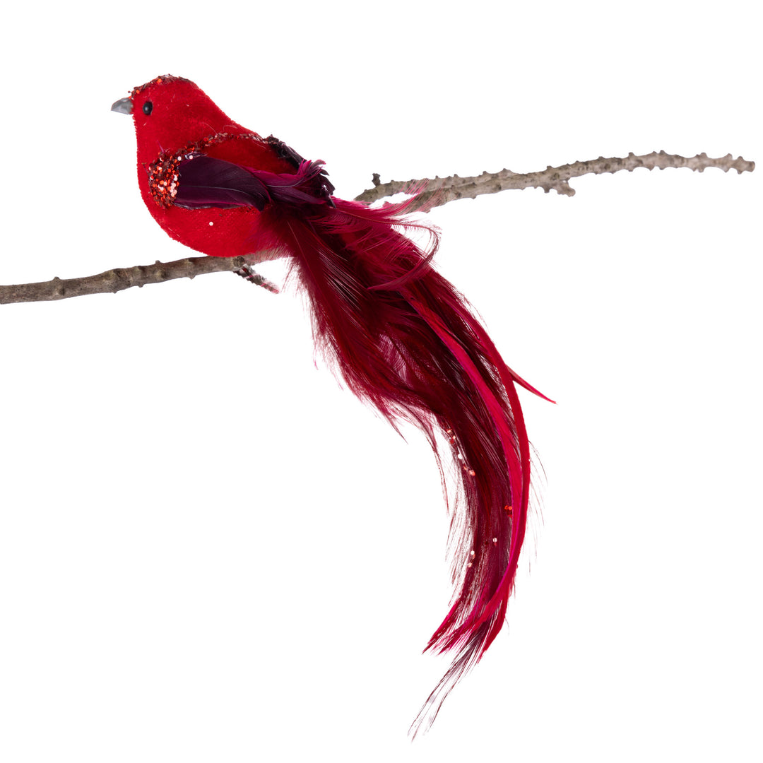 Red Velvet Bird Clip with Feather Tail