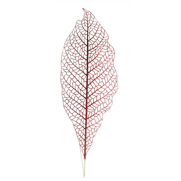 Red Mesh Palm Leaf