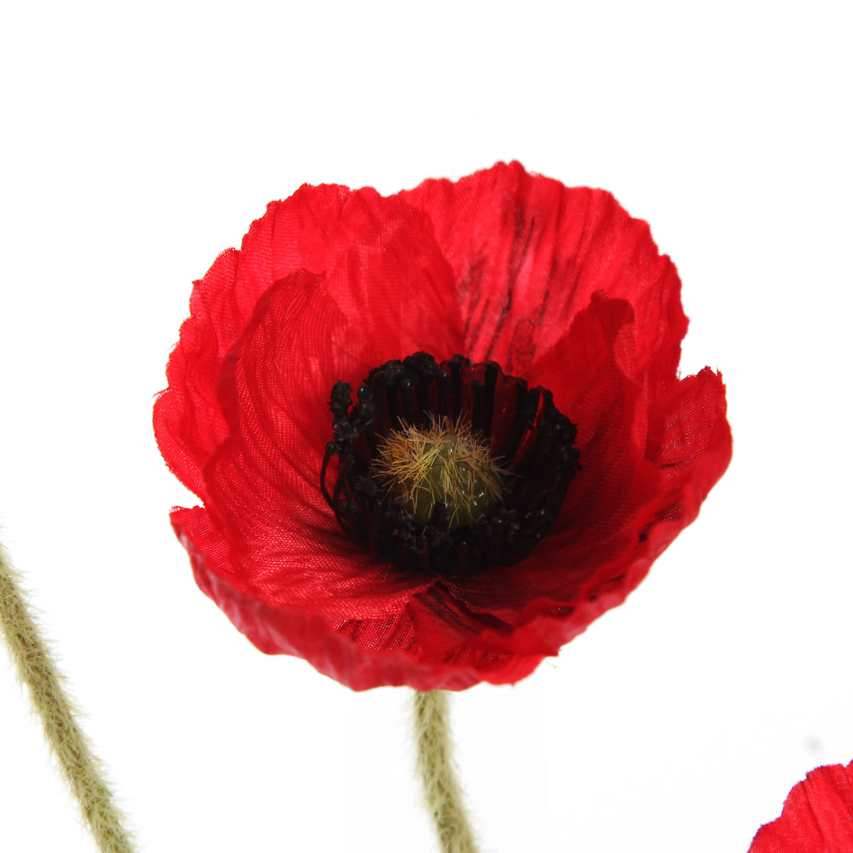 Remembrance Poppy Flower Spray