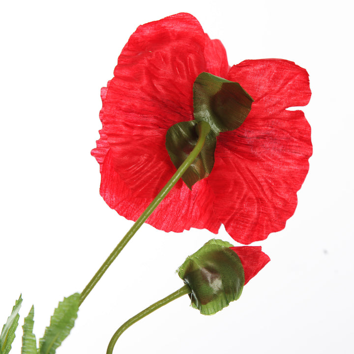 Remembrance Single Poppy Flower