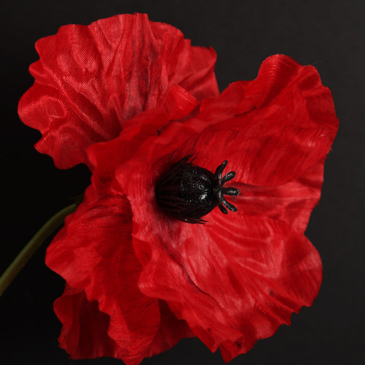 Remembrance Single Poppy Flower