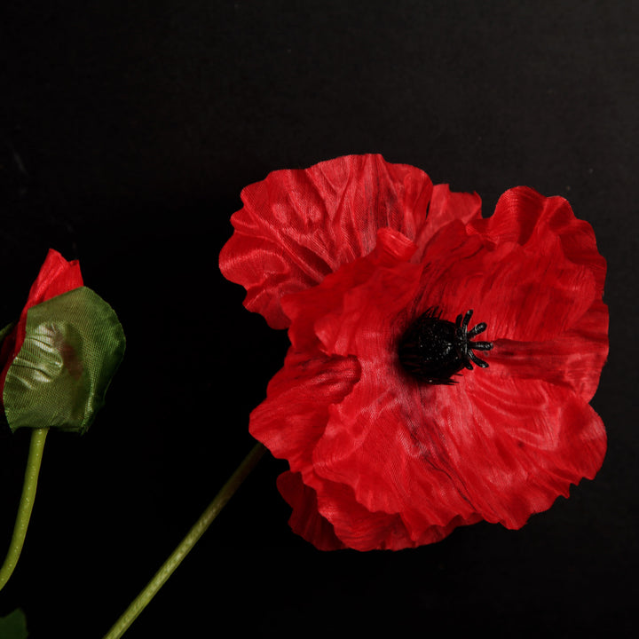 Remembrance Single Poppy Flower