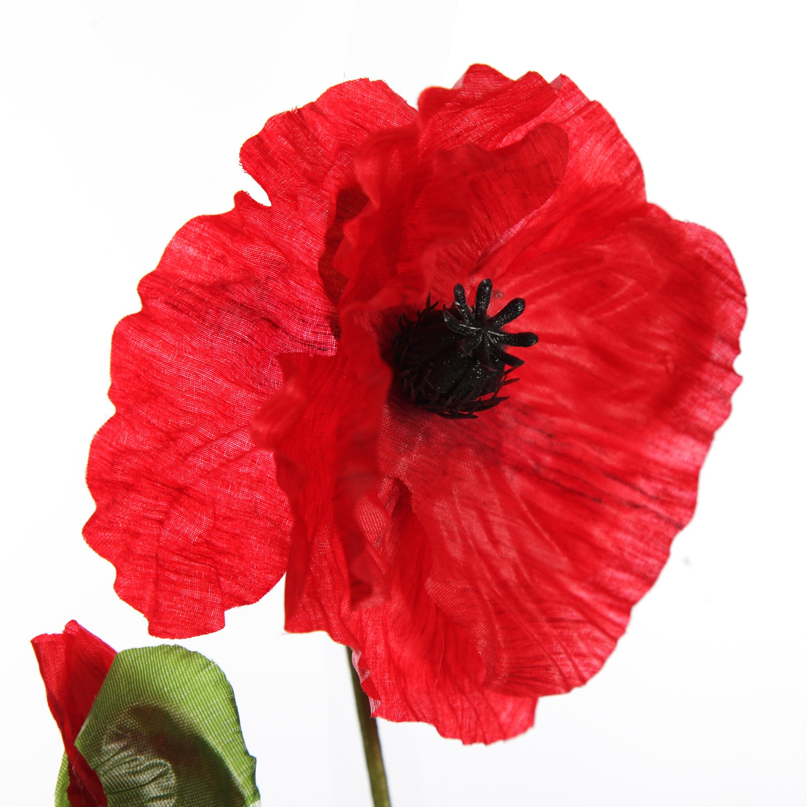 Remembrance Single Poppy Flower