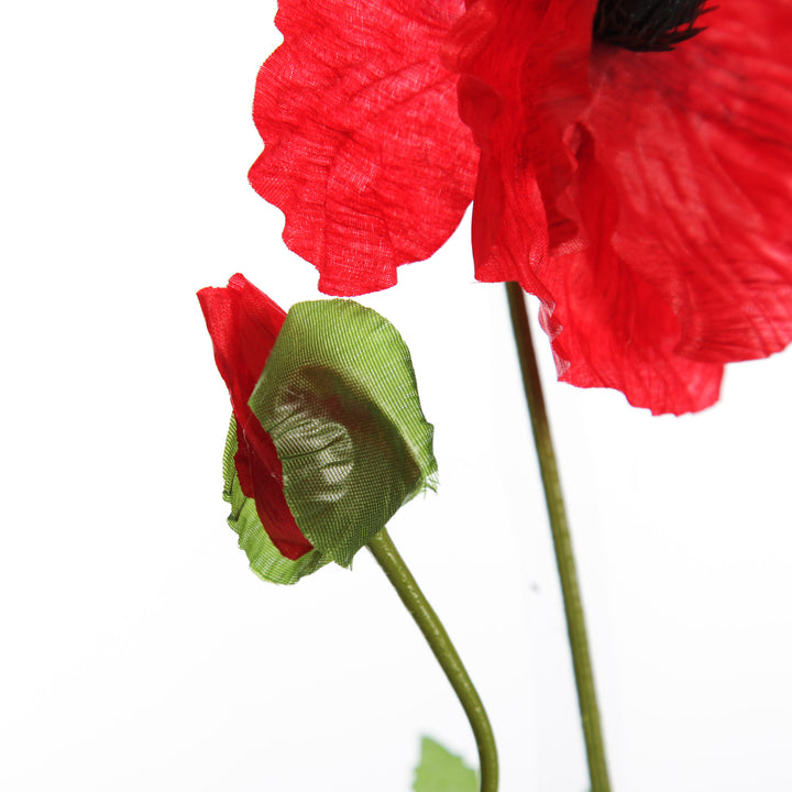 Remembrance Single Poppy Flower