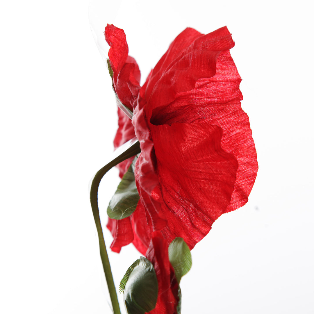 Remembrance Single Poppy Flower