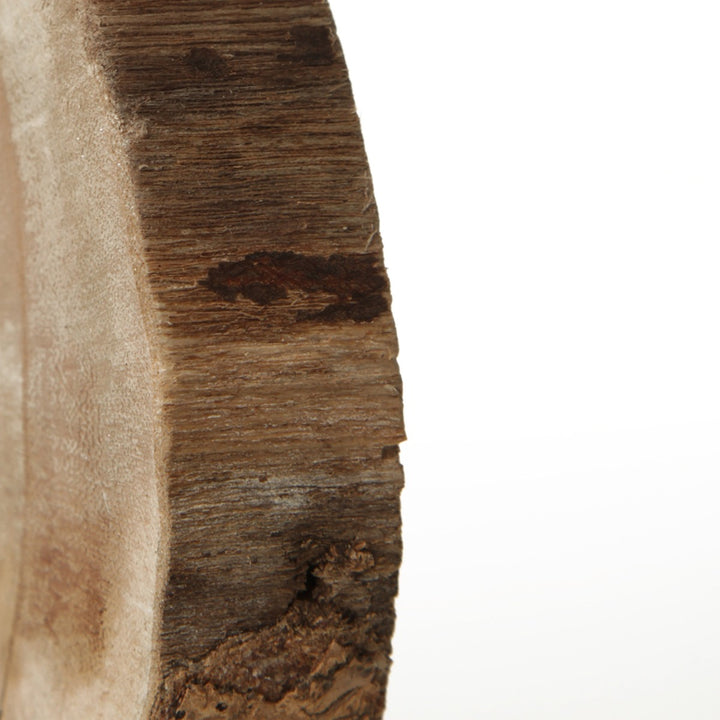 Round Natural Wood Timber Slice
