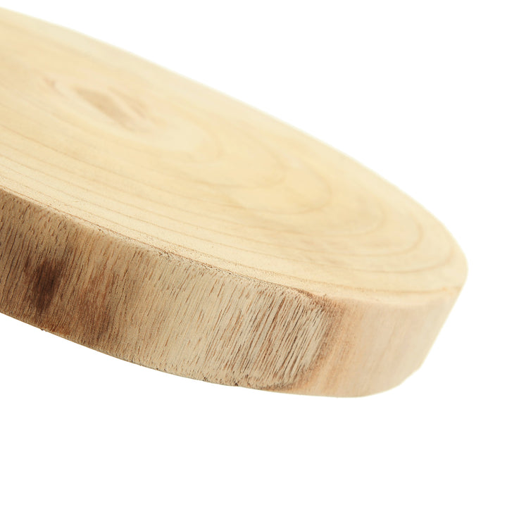 Round Natural Wood Timber Slice