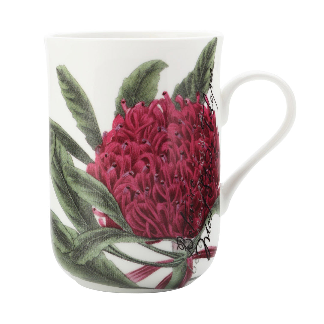 Maxwell and Williams - Royal Botanic Gardens Mug - Telopea 300ml