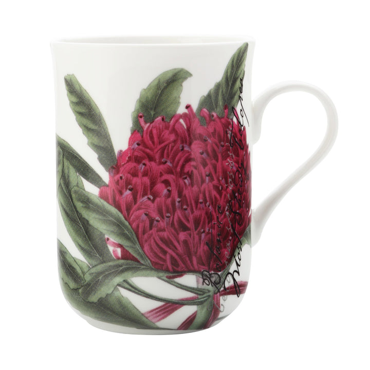 Maxwell and Williams - Royal Botanic Gardens Mug - Telopea 300ml