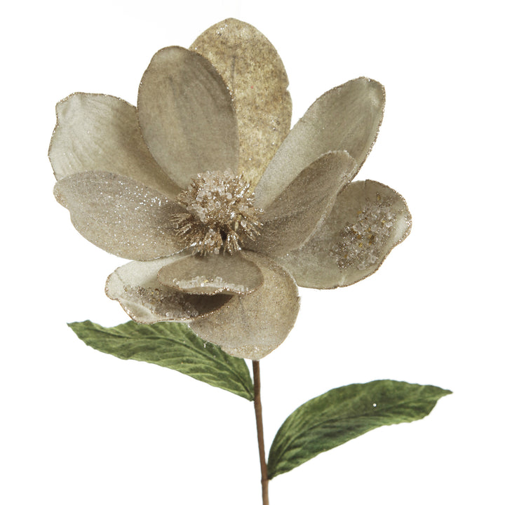 Sage Mixed Petal Magnolia Flower Stem with Beads