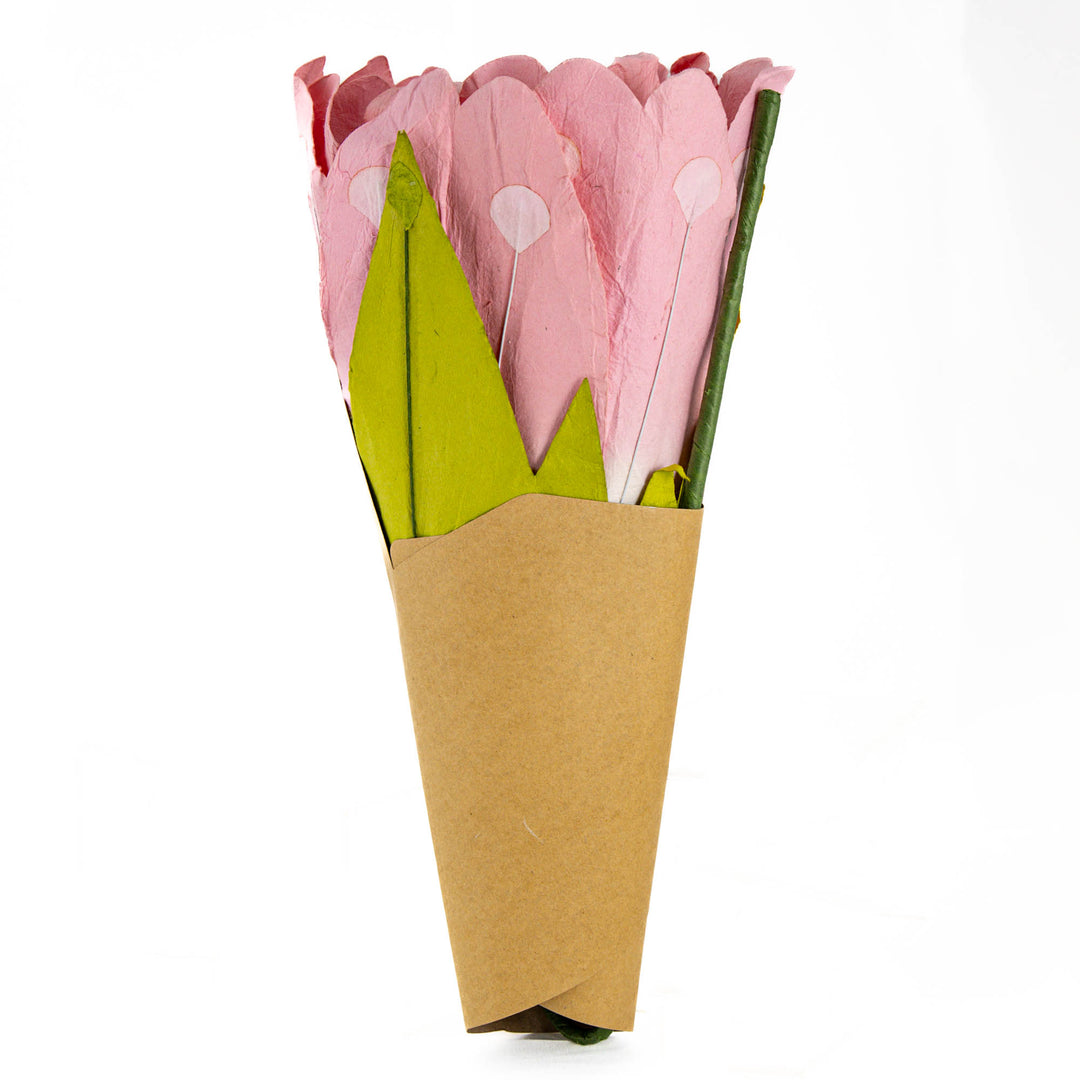 Salmon Paper Daisy Extra Large