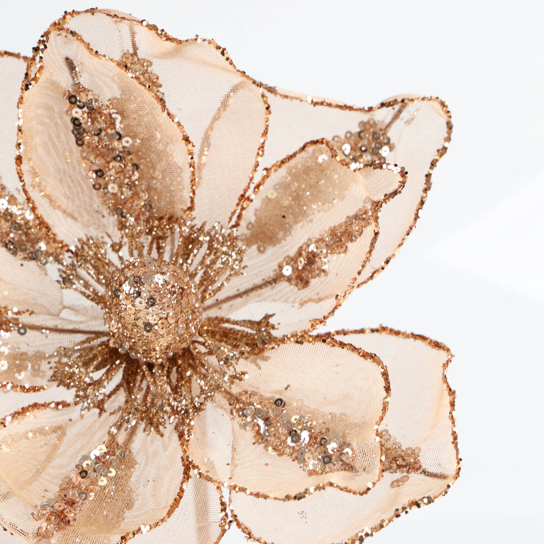 Sheer Magnolia with Rose Gold Sequin Detail