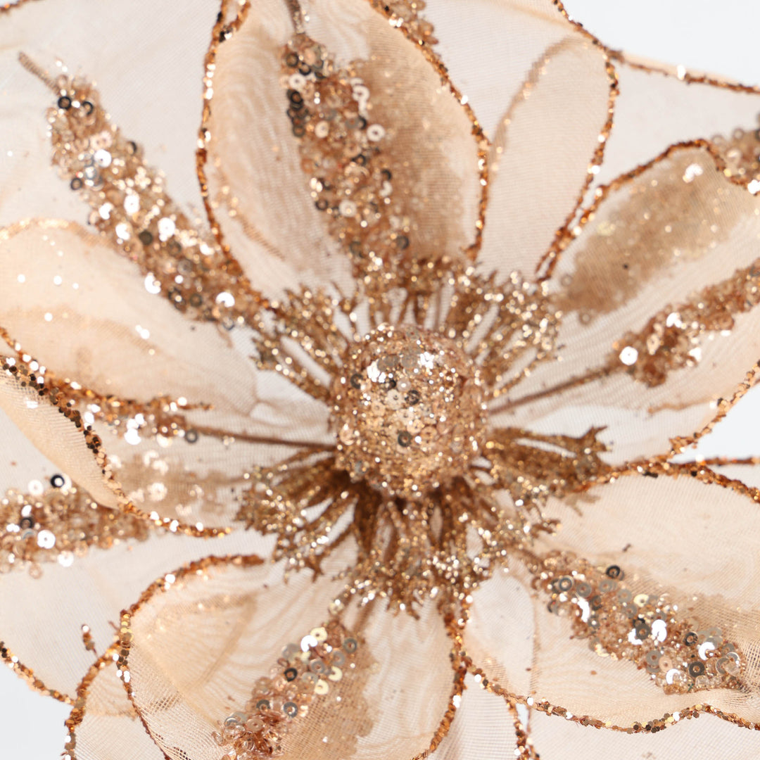 Sheer Magnolia with Rose Gold Sequin Detail