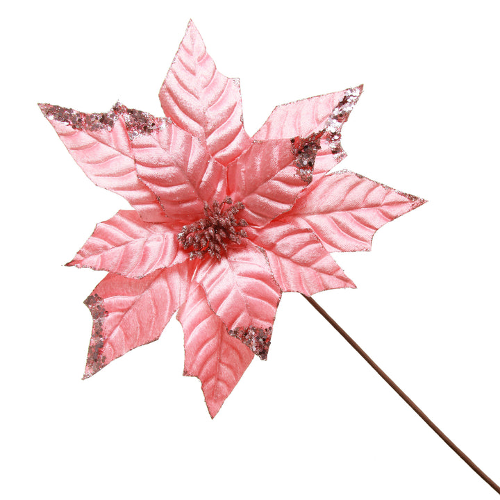 Shiny Blush Poinsettia Flower Stem