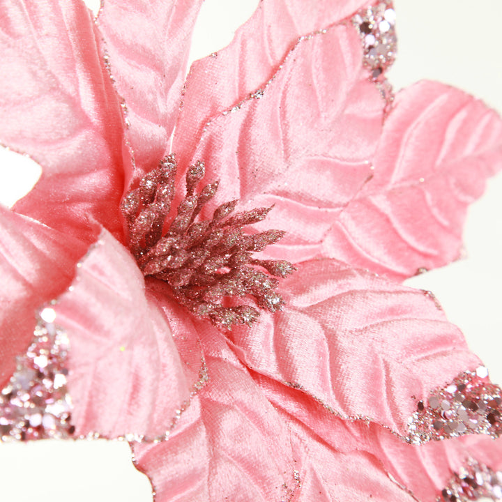 Shiny Blush Poinsettia Flower Stem