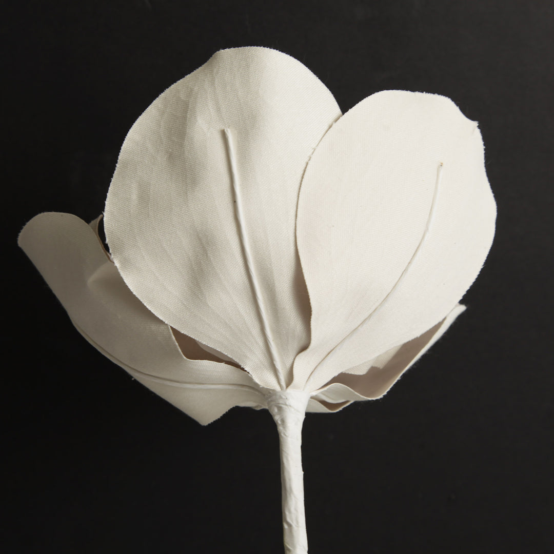 Shiny Ivory Magnolia Flower Stem