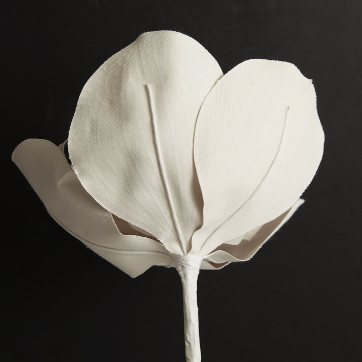 Shiny Ivory Magnolia Flower Stem