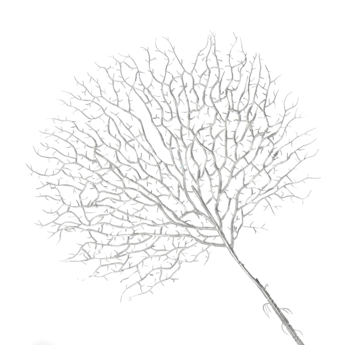 Silver Coral Fan Spray