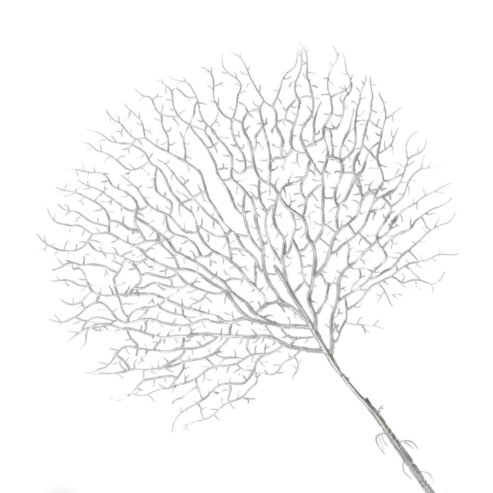Silver Coral Fan Spray