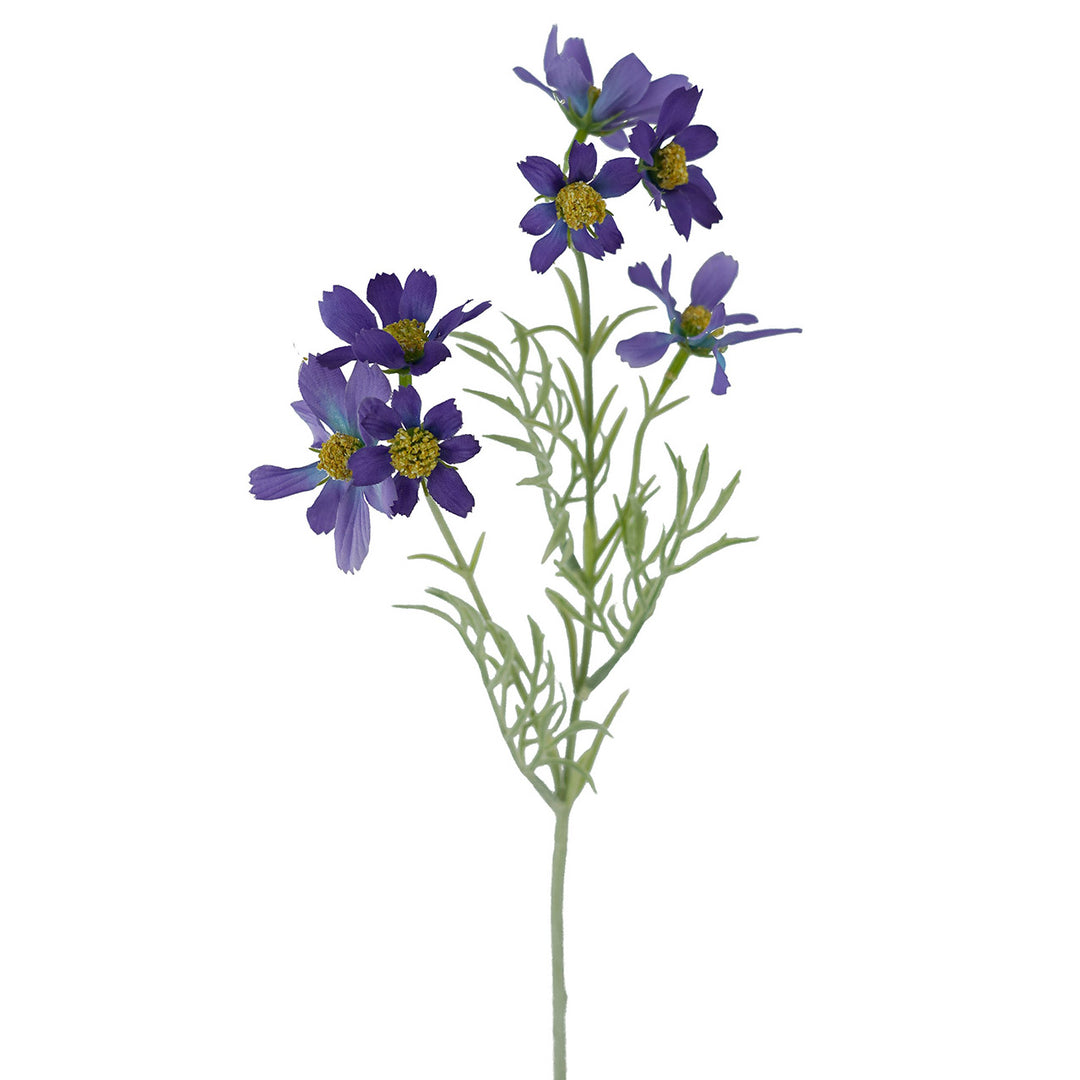 Sky Cosmos Spray Blue 47cm