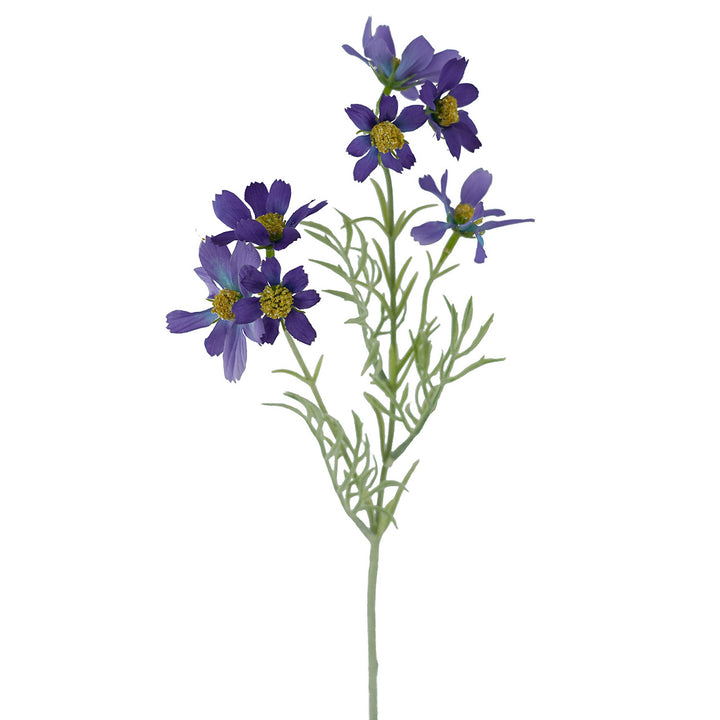 Sky Cosmos Spray Blue 47cm