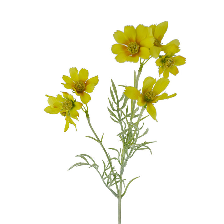 Sky Cosmos Spray Yellow 47cm
