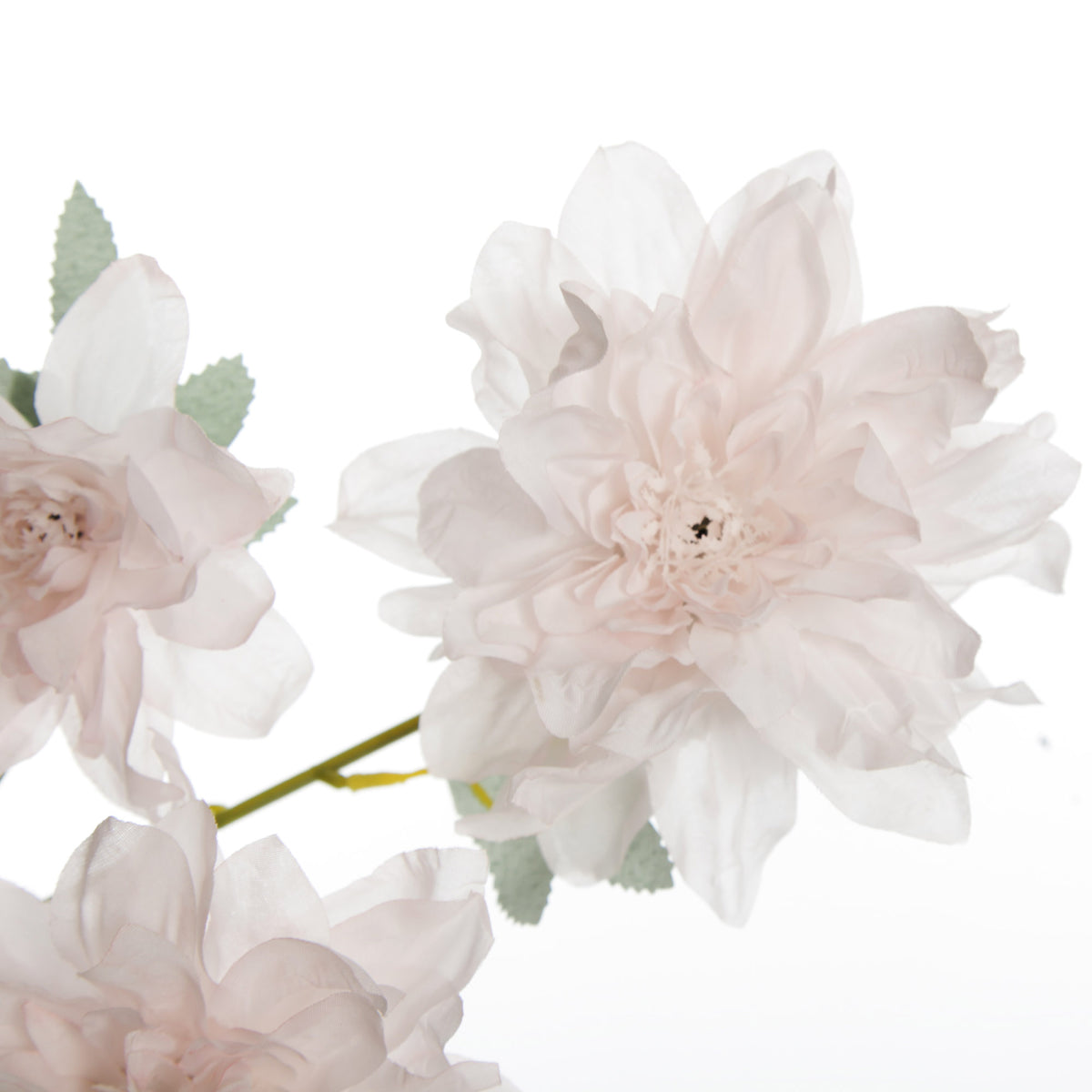Soft Pink Dahlia Flower Trio Spray - Flower Detail