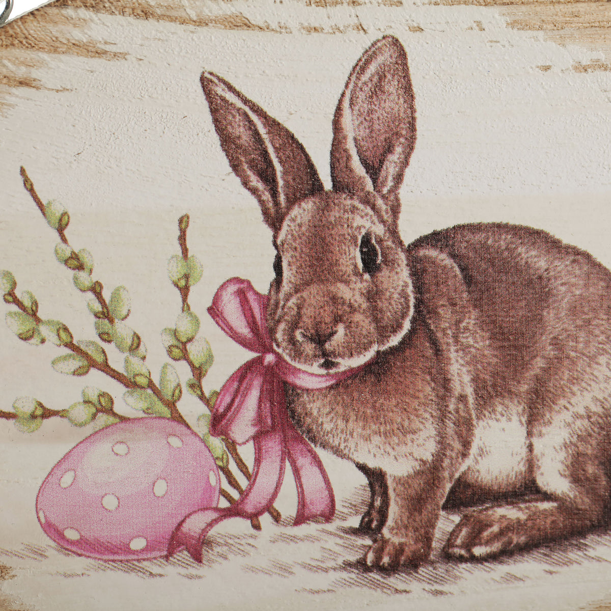 Cute Printed Oval Wooden Bunny Plaque