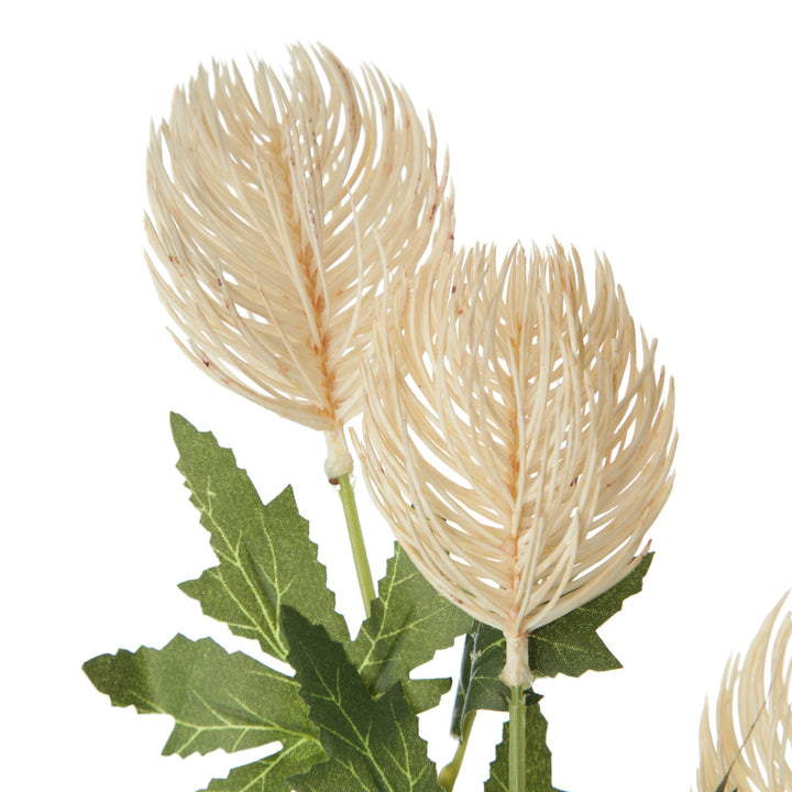Triple Head Cream Banksia Spray Zoom in Detail