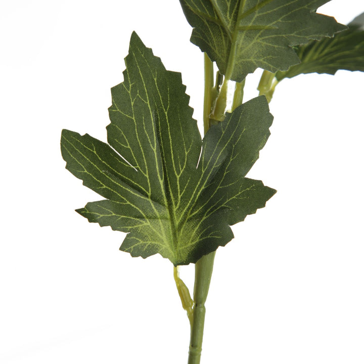 Triple Head Cream Banksia Spray Leaves Detail