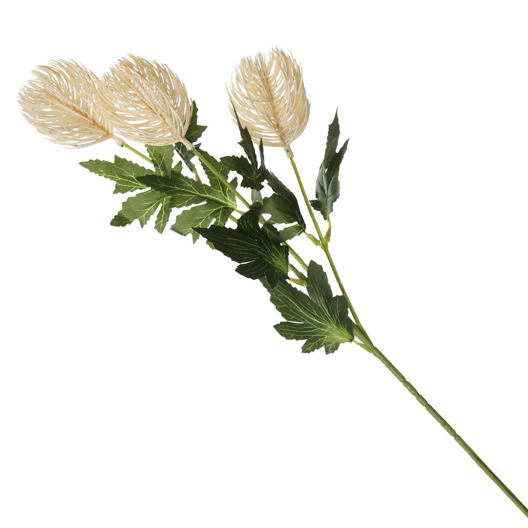 Triple Head Cream Banksia Spray Full Product