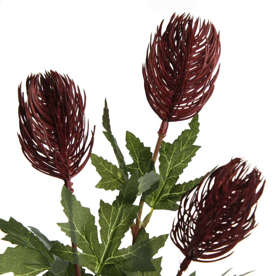 Triple Head Red Banksia Spray Detail