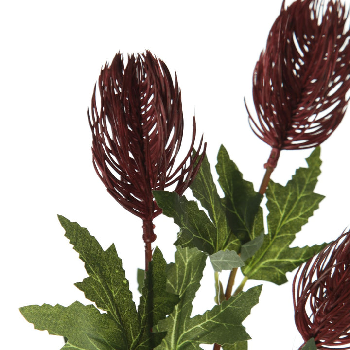 Triple Head Red Banksia Spray Zoom in Detail
