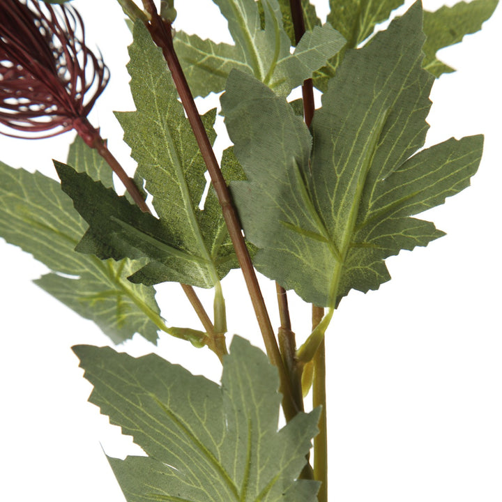 Triple Head Red Banksia Spray Leaves detail