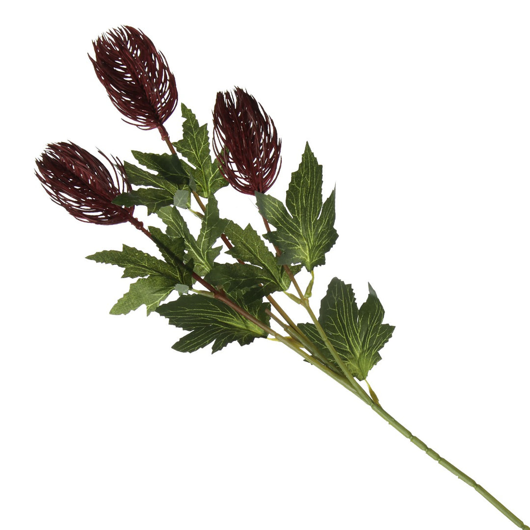 Triple Head Red Banksia Spray Full product