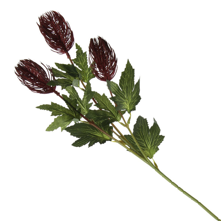 Triple Head Red Banksia Spray Full product