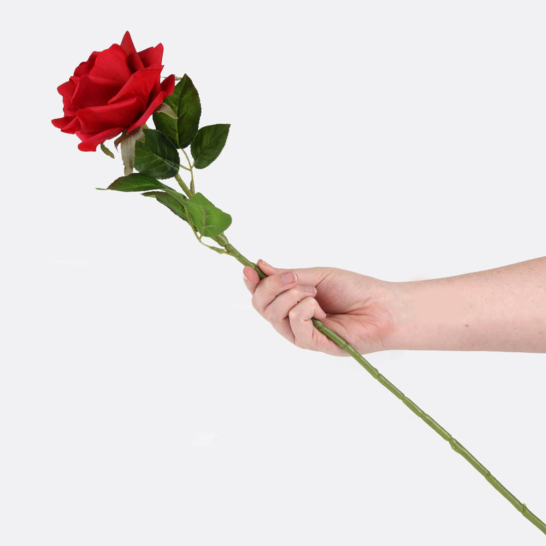 Valentines Day Posy - Medium 