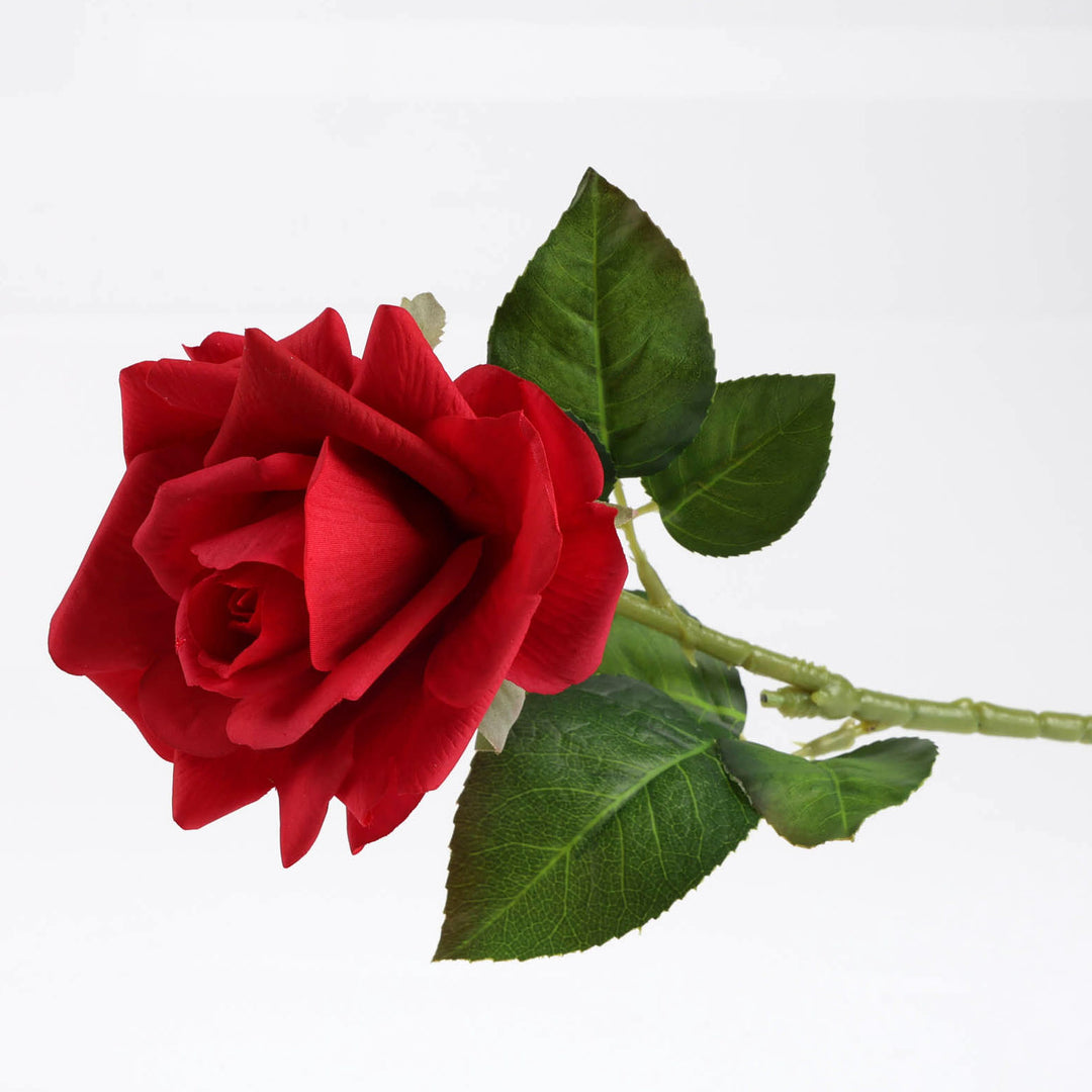 Valentines Day Posy - Medium 